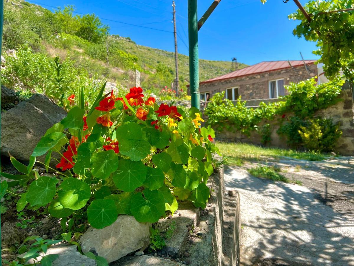 Igor Bed And Breakfast Halidzor Dış mekan fotoğraf