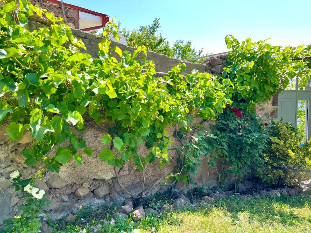 Igor Bed And Breakfast Halidzor Dış mekan fotoğraf