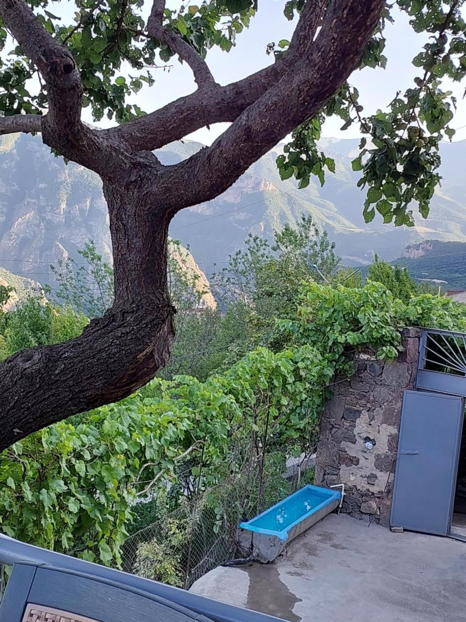 Igor Bed And Breakfast Halidzor Dış mekan fotoğraf
