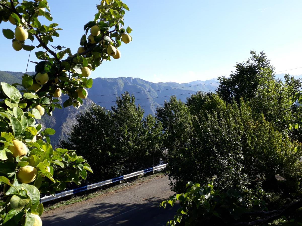 Igor Bed And Breakfast Halidzor Dış mekan fotoğraf